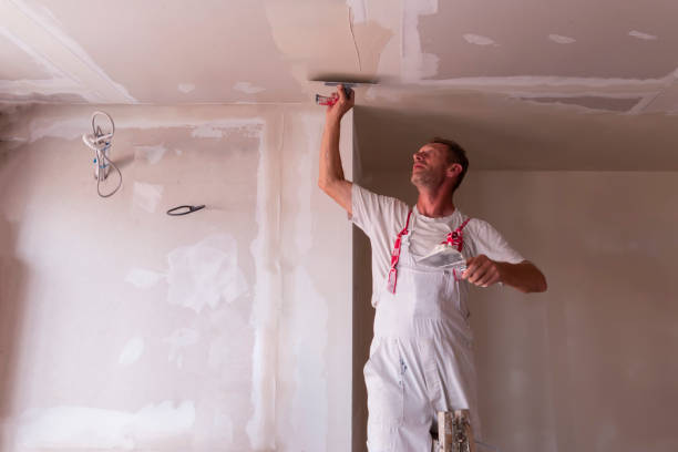 Best Drywall Installation  in Kountze, TX